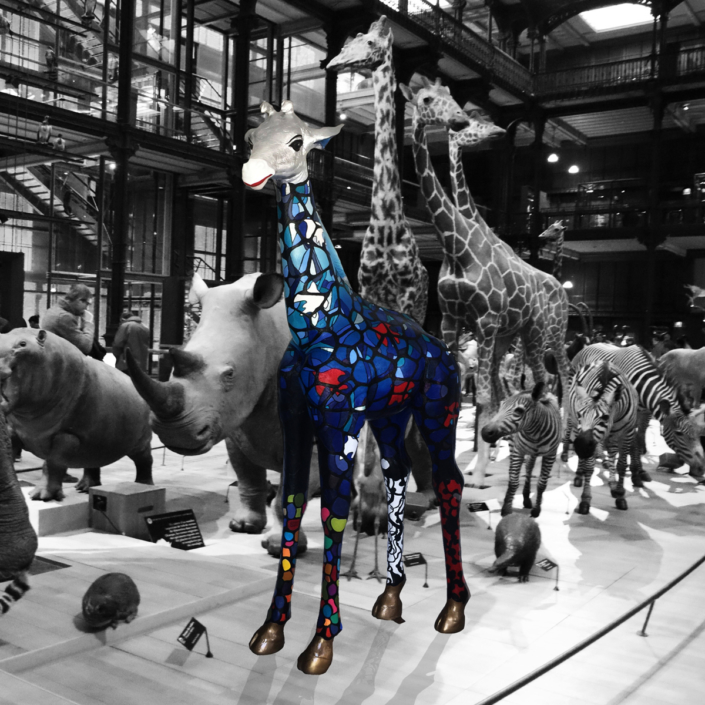 girafe musée histoires naturelle galerie évolution photographie résine sculpture