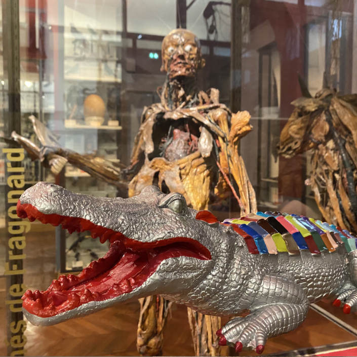 crocodile musee fragonard résine sculpture école vétérinaire art monumental enva