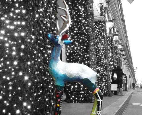 photographie sous plexis reine a l'hôtel Meurice paris