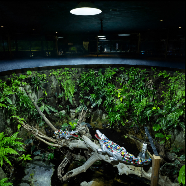 Sculpture contemporaine dans l'espace public par Daphné Dejay