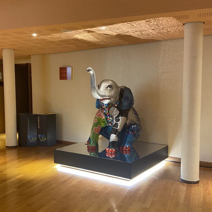 acquisition éléphant Charenton le pont